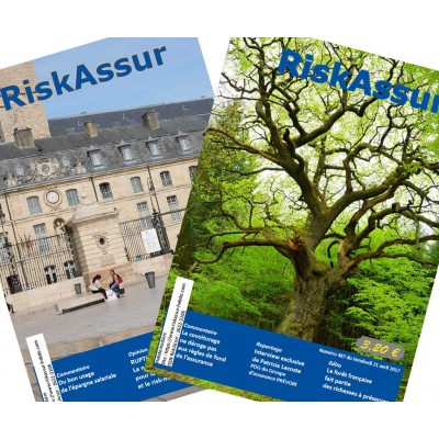 Abonnement 1 mois (4 numéros) au magazine RiskAssur-hebdo